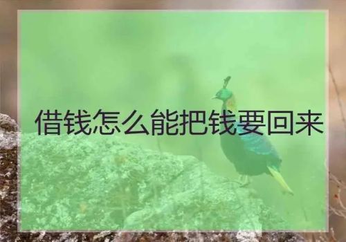 宁波收账公司 ：借款合同怎么才能生效